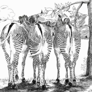 Larry, Moe, & Curley