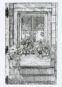 Window Box