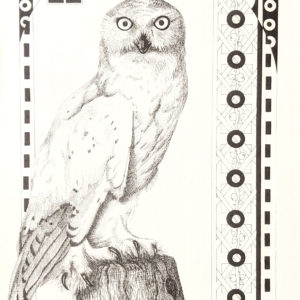 Snowy White Owl
